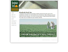 Tablet Screenshot of brushvaleseed.com